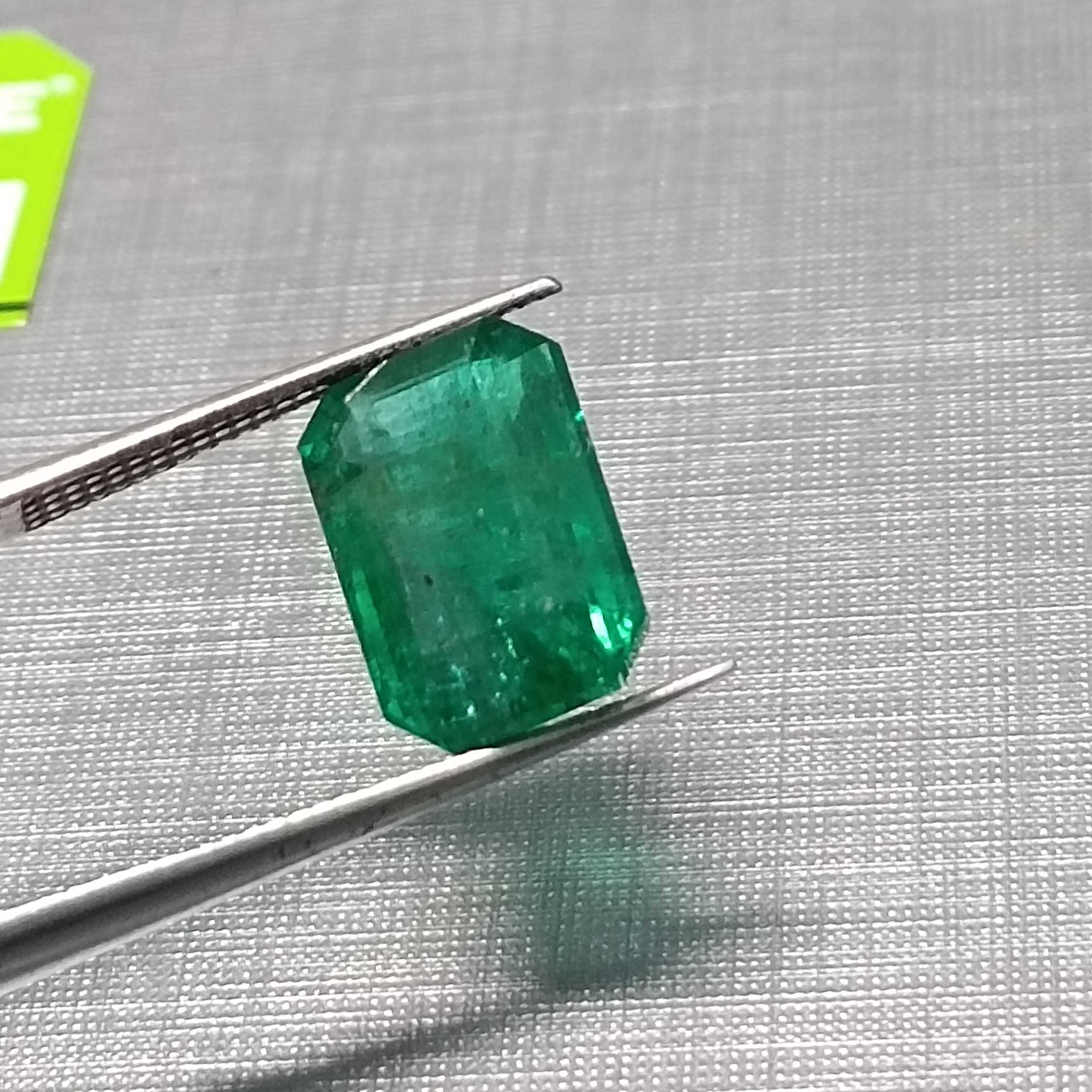 3.96ct Velvet Green Octagon Step Cut Zambian Emerald