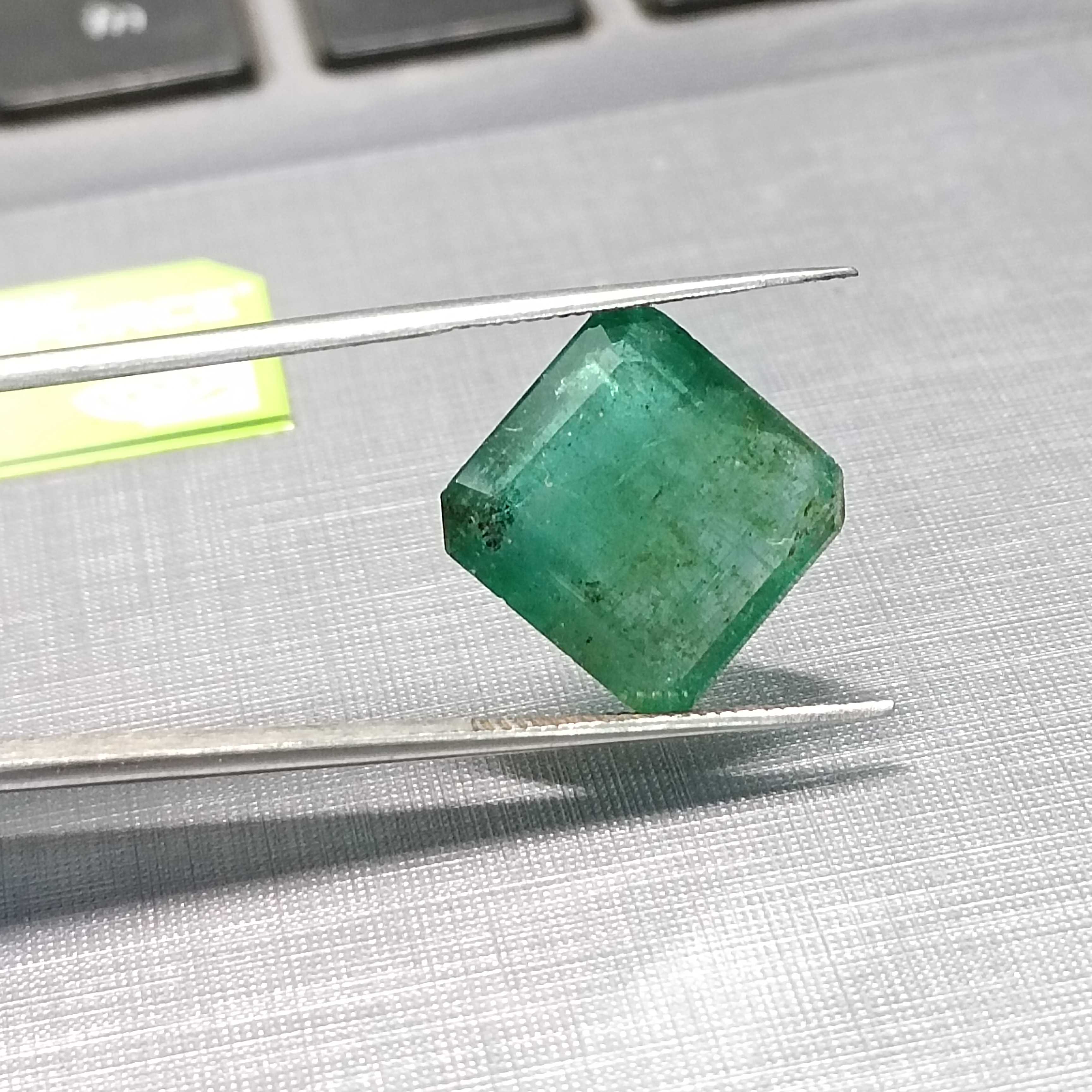 9.04ct forest green octagon step cut Zambian emerald/
