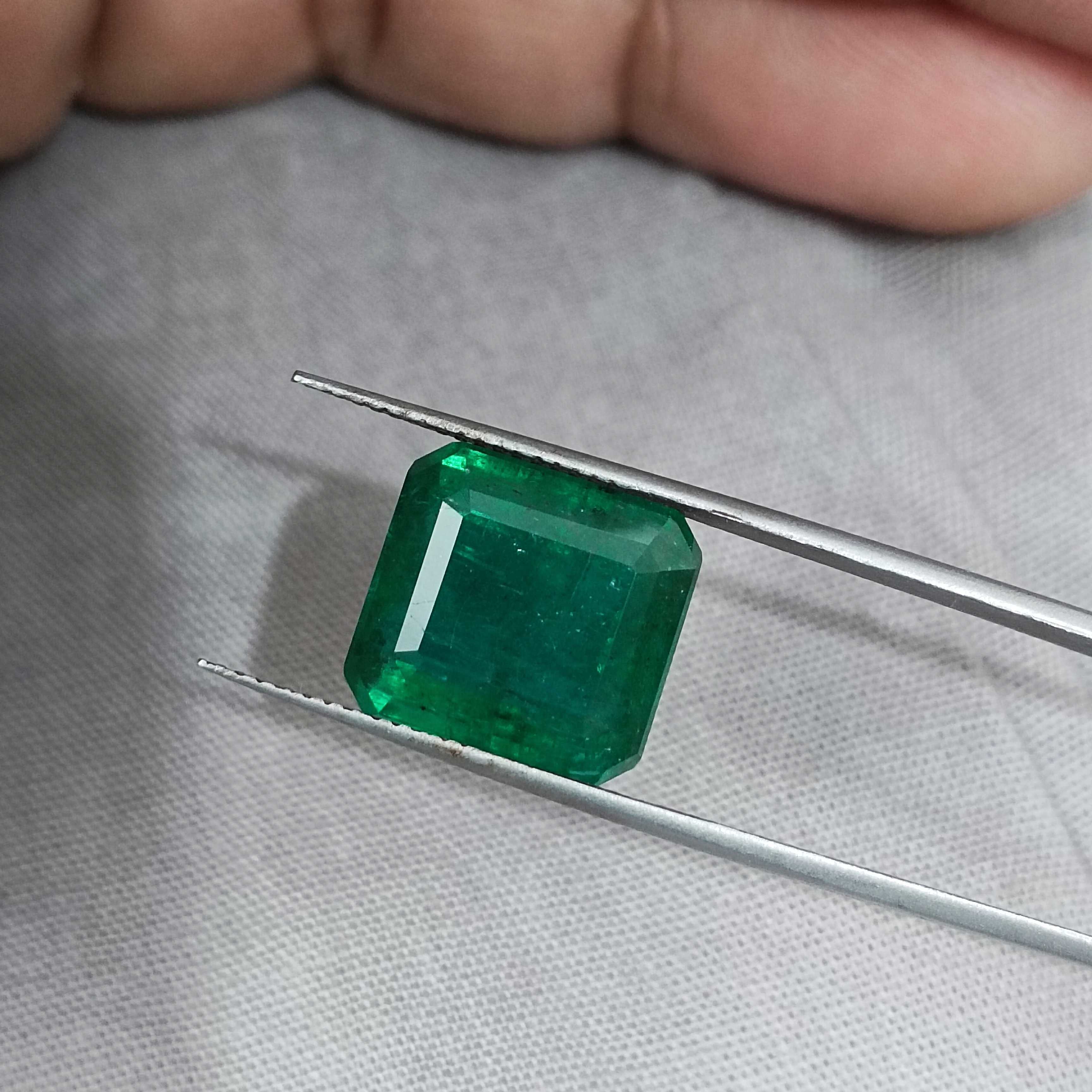 8.89ct vivid green octagon cut Zambian emerald gem