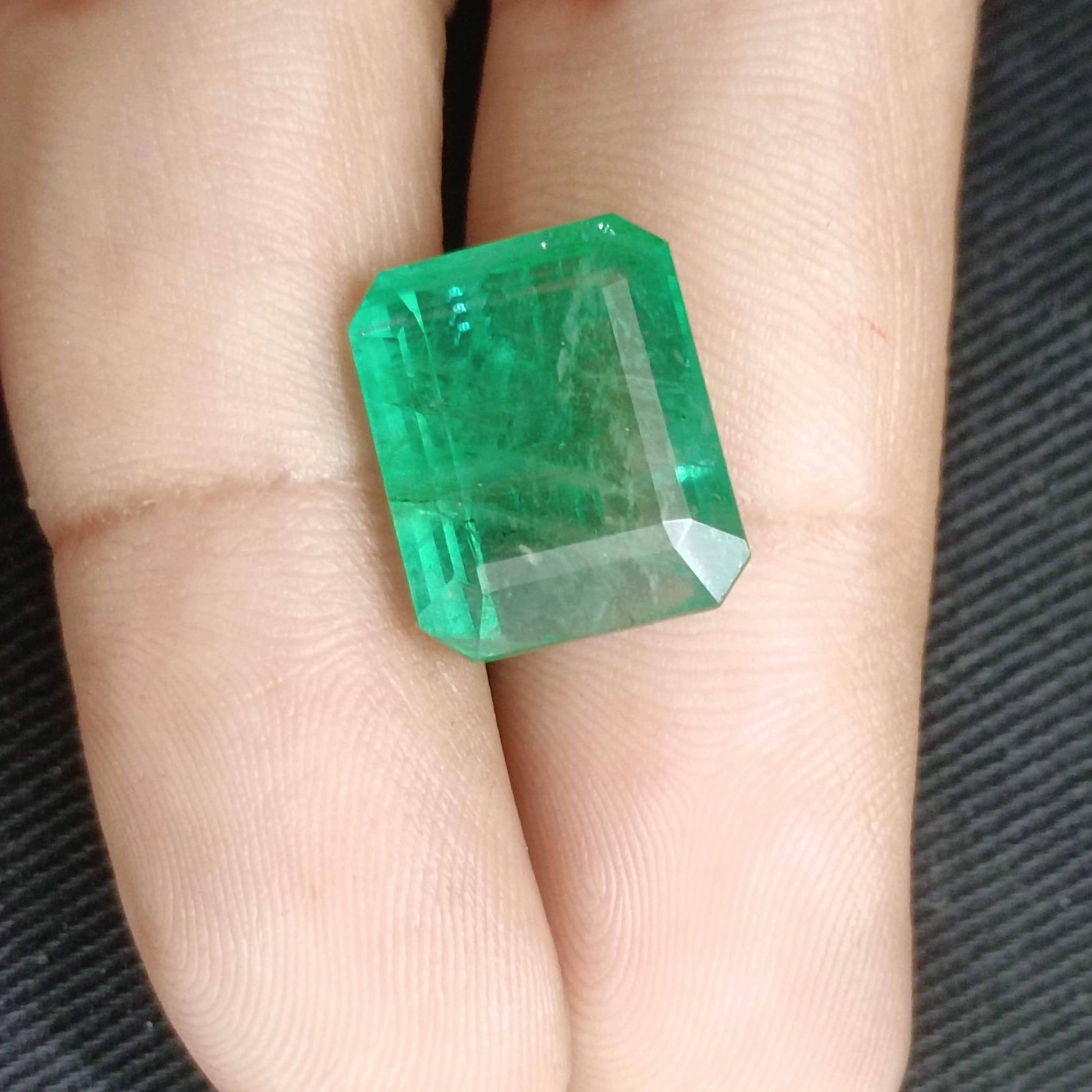 13.80cts AGR certified medium kelly green octagon cut emerald gemstone 
