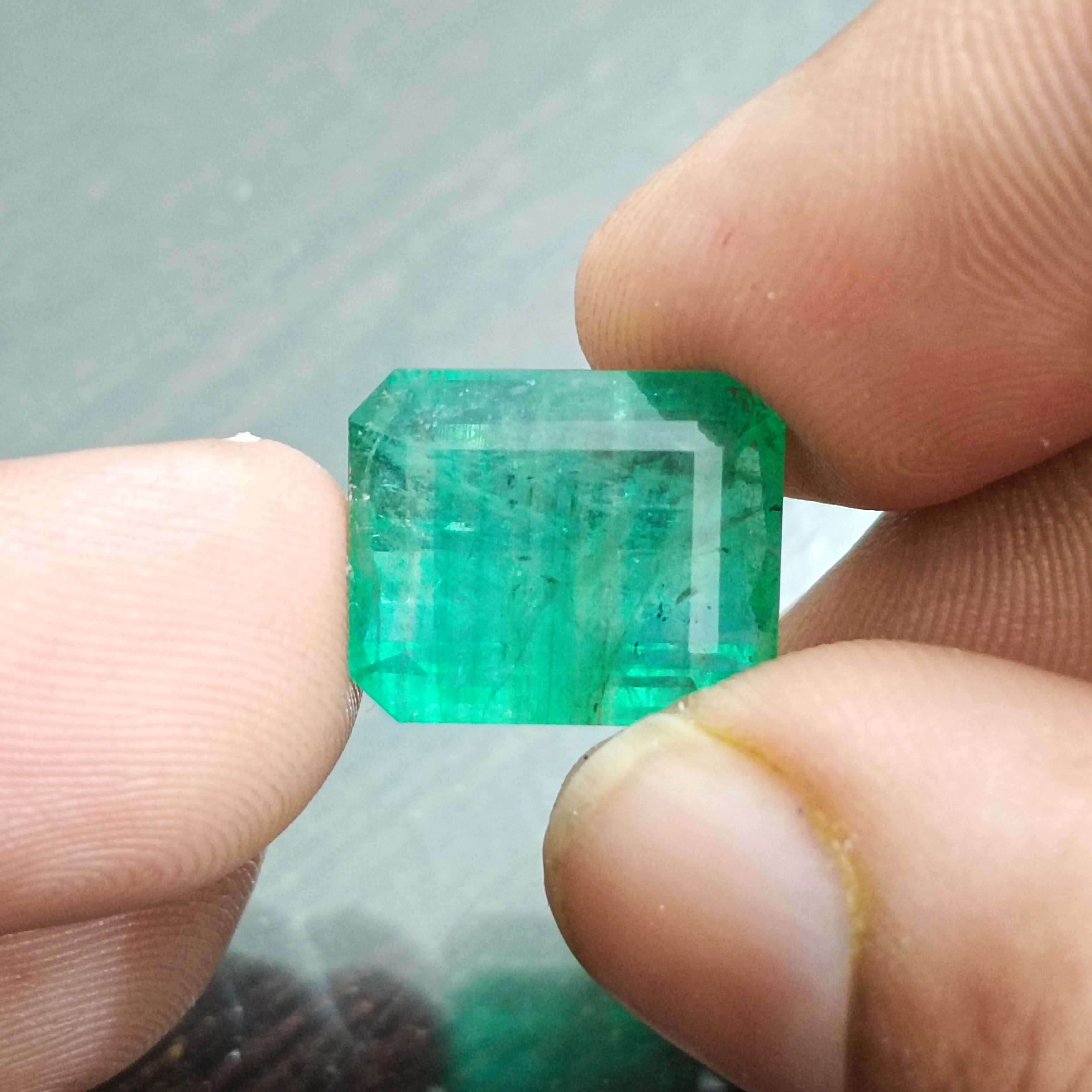 13.80cts AGR certified medium kelly green octagon cut emerald gemstone 
