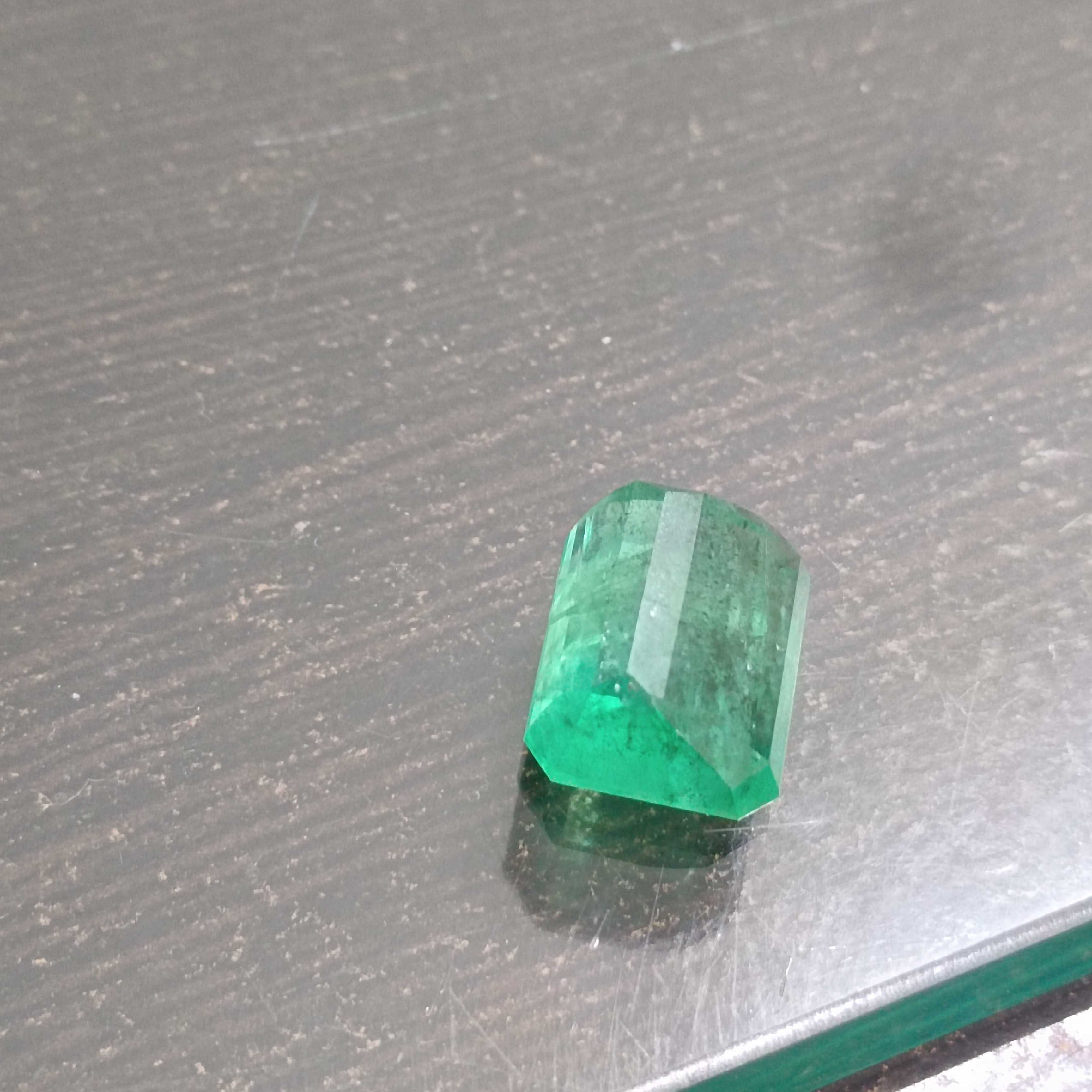 13.80cts AGR certified medium kelly green octagon cut emerald gemstone 
