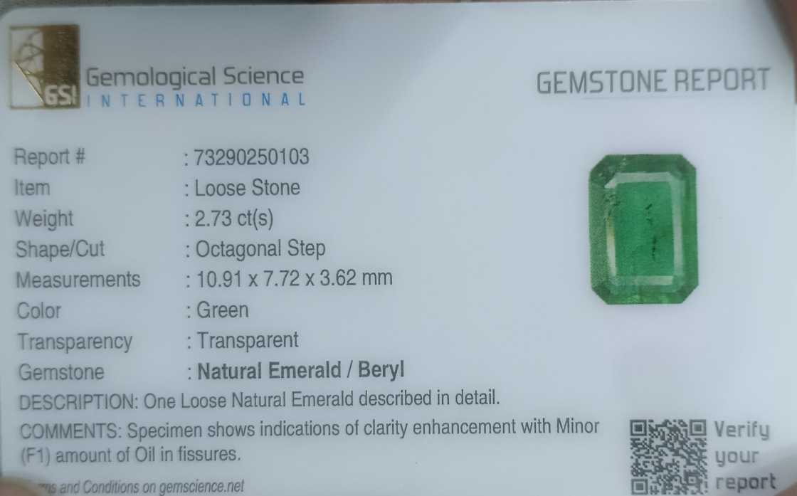 2.73ct GSI USA certified medium deep spring green octagon Zambian emerald