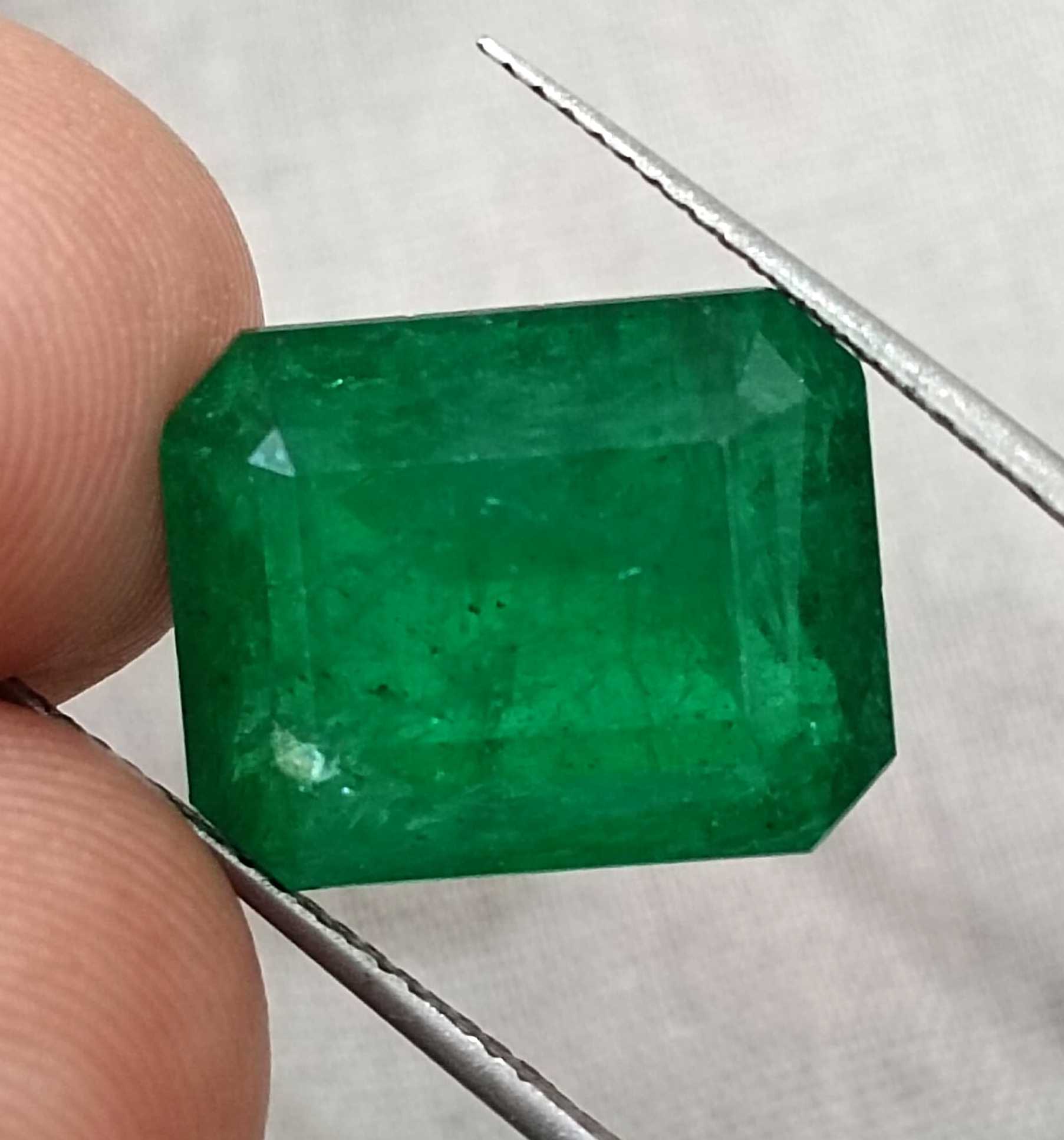 11.92ct big size vivid deep green octagon cut Swat emerald gemstone 