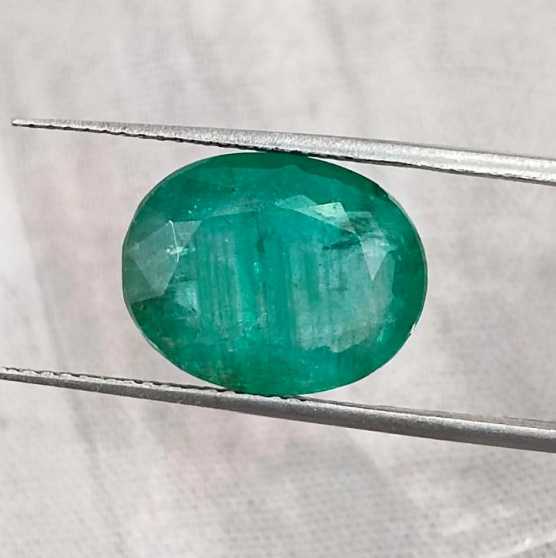 6.54ct Zambian emerald medium deep forest green oval cut stone 