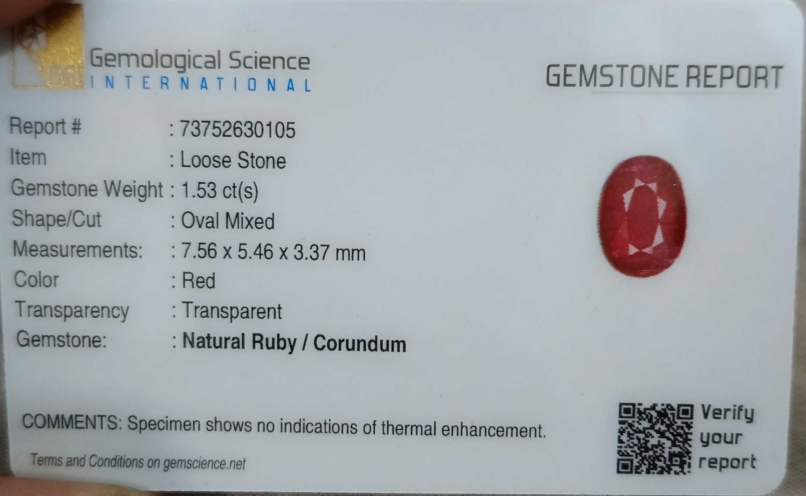 1.53ct Mozambique ruby unheated pure red oval cut gemstone  GSI certified 